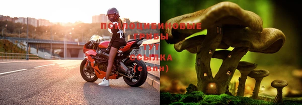 дурь Рославль