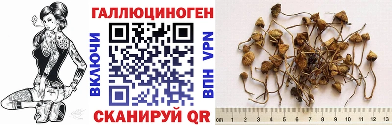 Псилоцибиновые грибы мицелий  Красавино 
